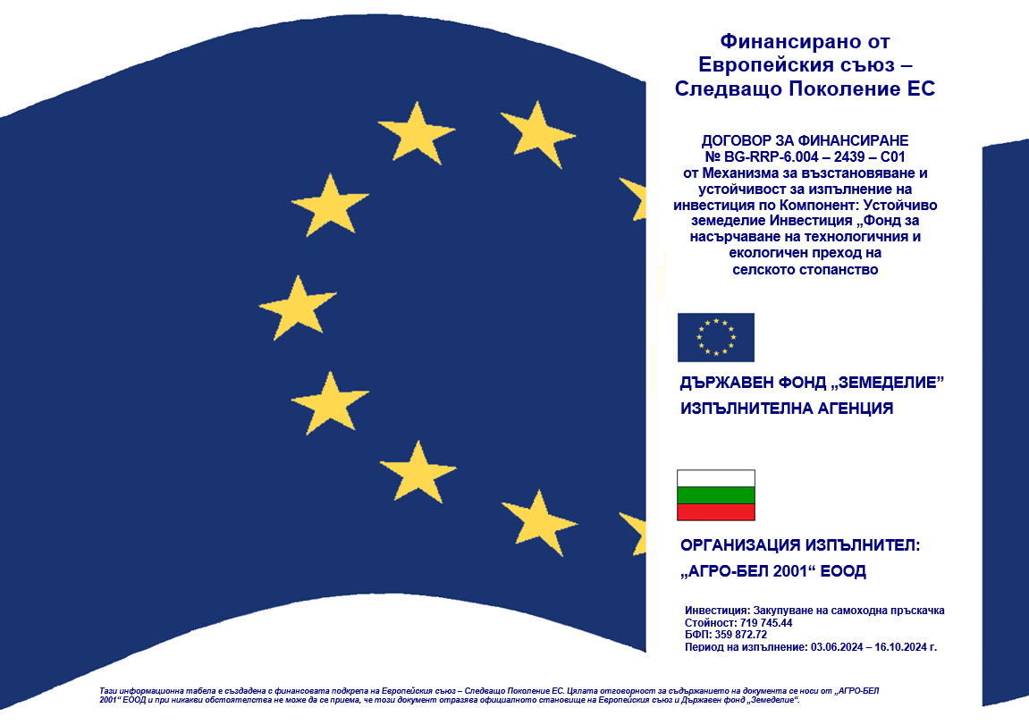 European Union Project 1