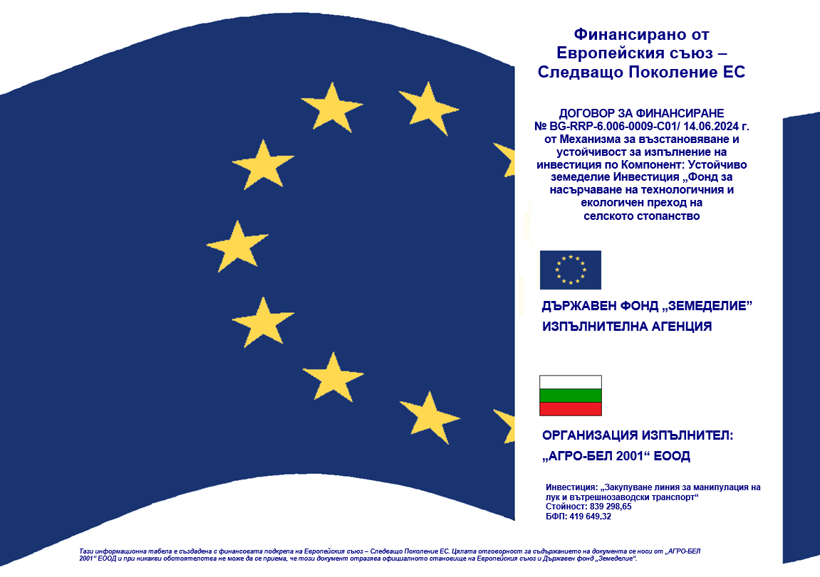European Union Project 2