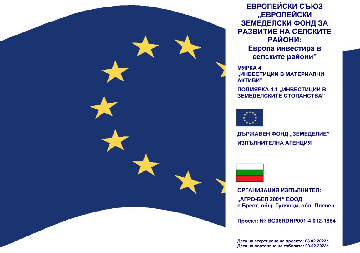European Union Project 3